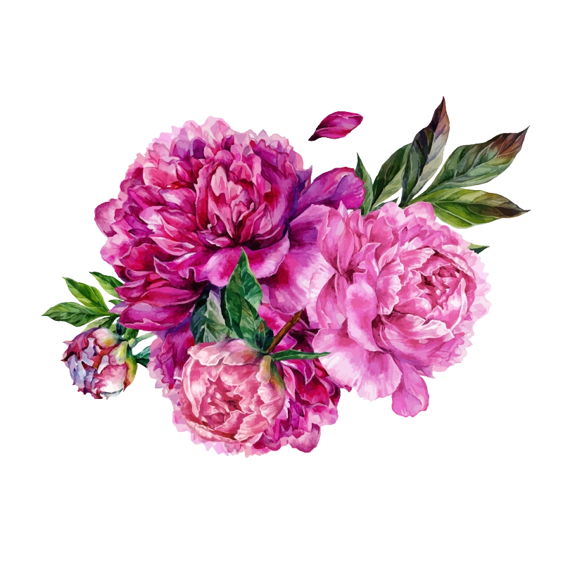 crop image