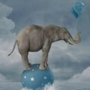 elephants