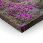 Πίνακας Πανοραμικός AZALEA