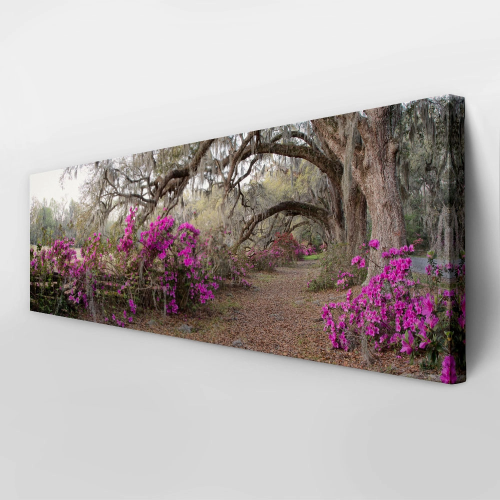 Πίνακας Πανοραμικός AZALEA