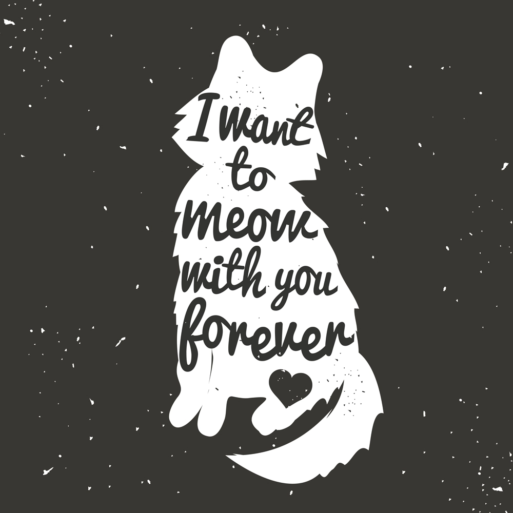 Πίνακας σε καμβά CAT FOREVER