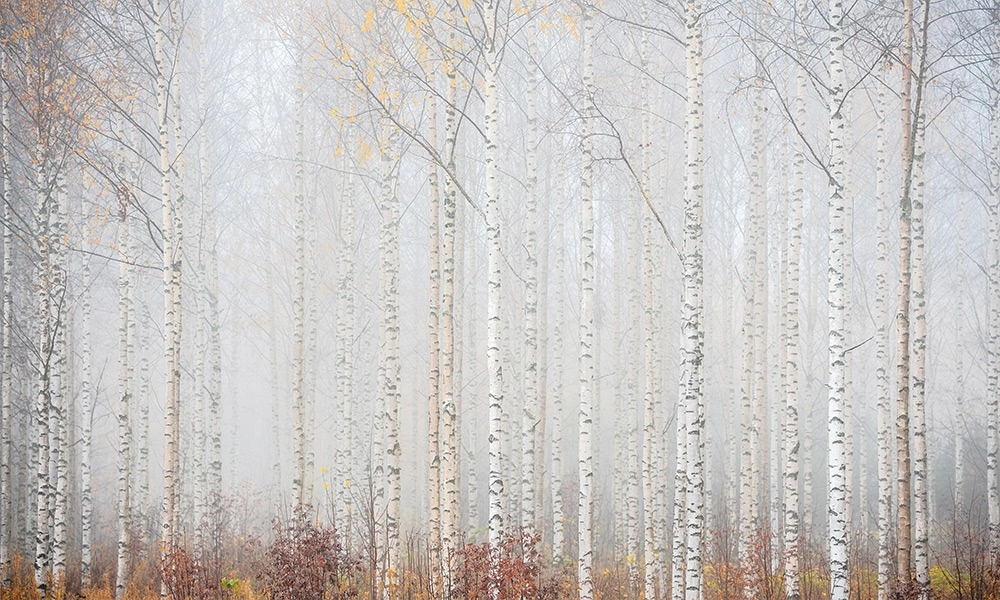 crop image