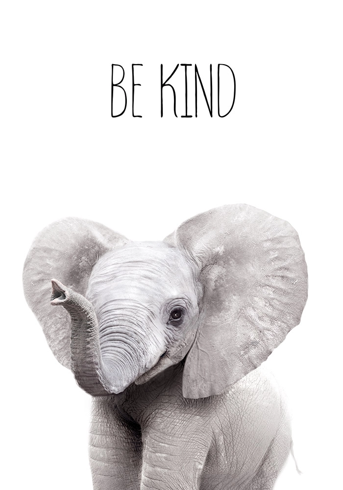 Πινακας σε καμβά CUTE ELEPHANT
