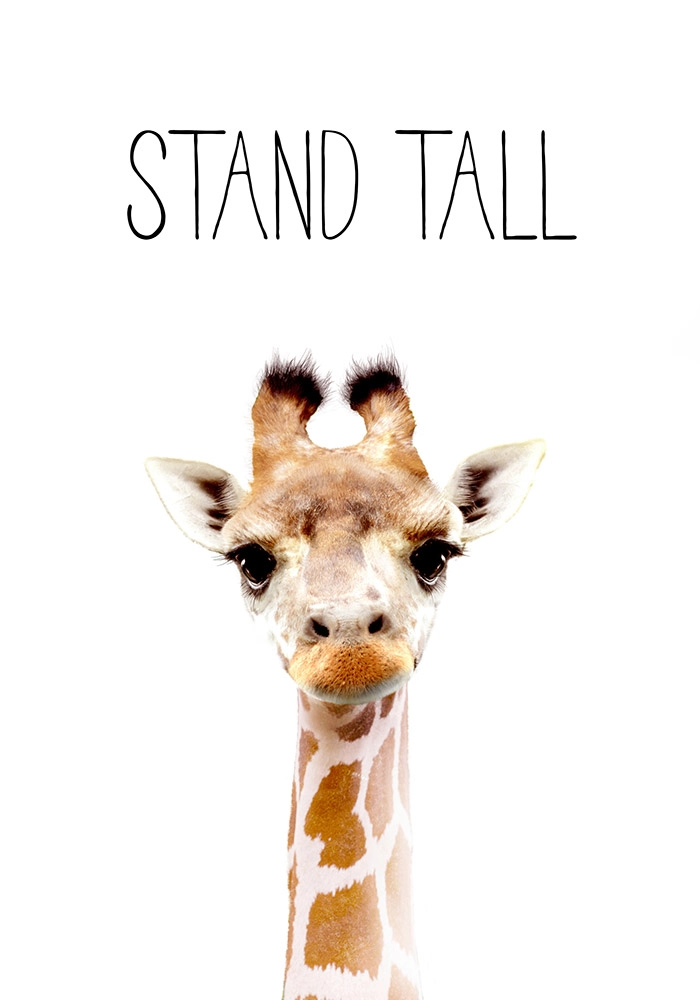 Πινακας σε καμβά CUTE GIRAFFE