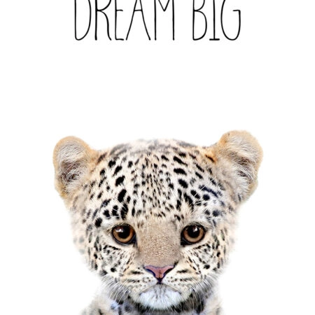 Πινακας σε καμβά CUTE LEOPARD - Παιδικοι και set Sticky 5