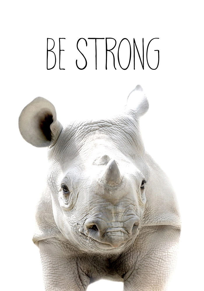 Πινακας σε καμβά CUTE RHINO
