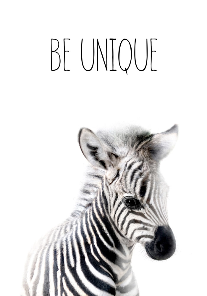 Πινακας σε καμβά CUTE ZEBRA