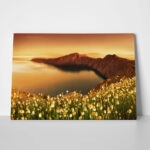 Πινακας σε καμβά SANTORINI WILDFLOWERS