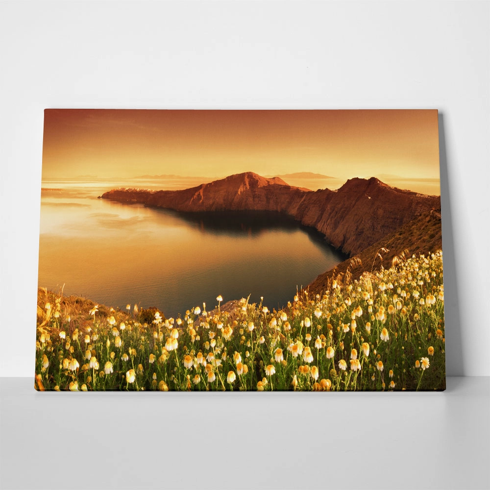 Πινακας σε καμβά SANTORINI WILDFLOWERS