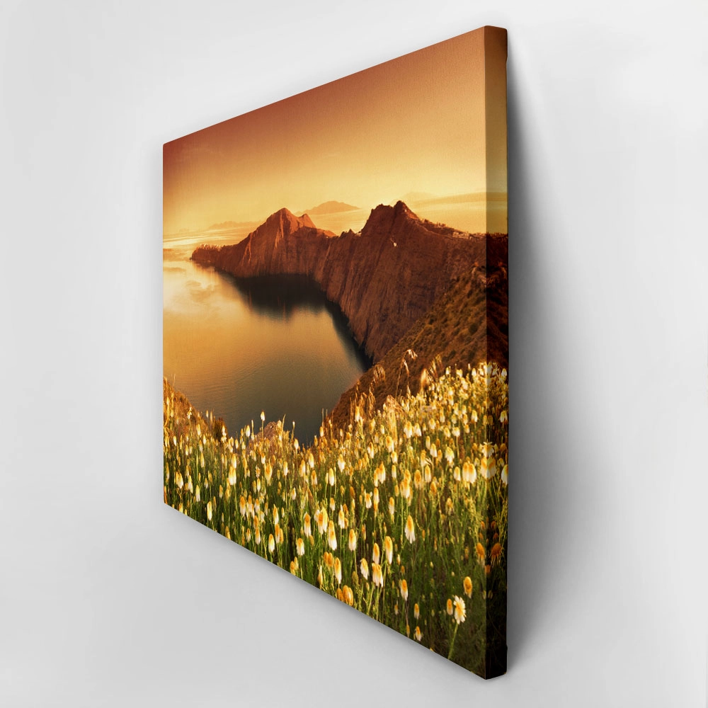 Πινακας σε καμβά SANTORINI WILDFLOWERS