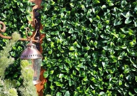 ΠΑΝΕΛ ΦΥΛΛΩΣΙΑΣ BERLIN 50 Χ 50 A017 PHOTINIA - Κάθετοι κήποι Sticky 2