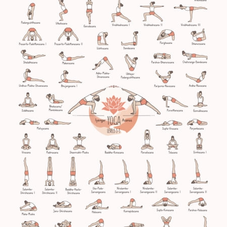 Πινακας σε καμβά YOGA POSES LEVEL 1 - Αθληματα και Χομπυ Sticky 5