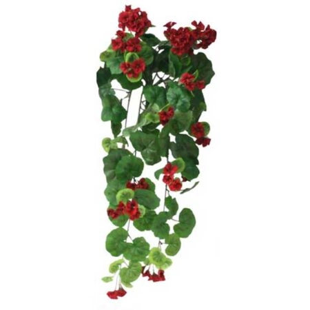 ΡΙΖΑ ΒΙΓOΝΙΑ ΚΟΚΚΙΝΗ Y75cm