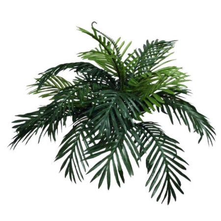 ΡΙΖΑ ΤΣΙΚΑ 70xY45cm.