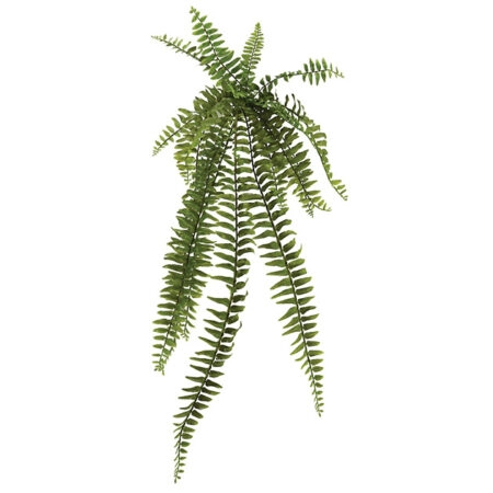 ΡΙΖΑ ΚΡΕΜΑΣΤΗ ΦΤΕΡΗ 90Υx26.5cm