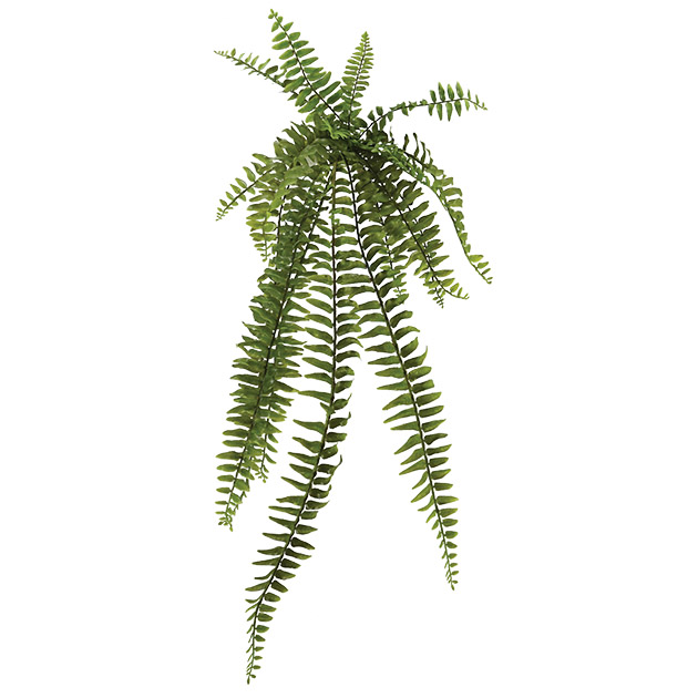 ΡΙΖΑ ΚΡΕΜΑΣΤΗ ΦΤΕΡΗ 90Υx26.5cm