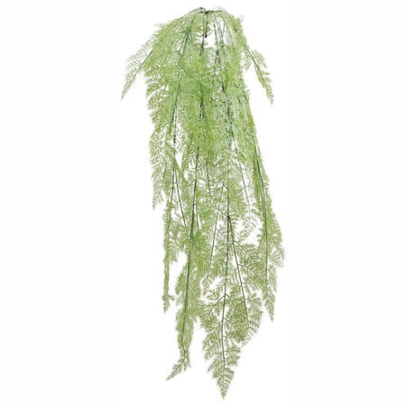 ΡΙΖΑ ΚΡΕΜΑΣΤΗ ΦΤΕΡΗ ΛΑΧΑΝΙ - Υ130cm