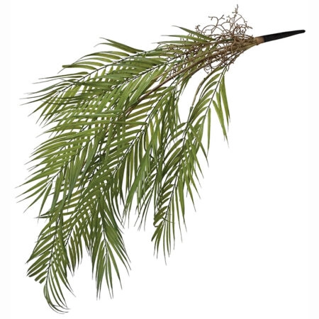 ΡΙΖΑ ΚΡΕΜΑΣΤΗ ΚΕΝΤΙΑ ΠΡΑΣΙΝΟ - Υ94cm