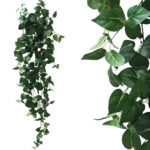 ΡΙΖΑ ΚΡΕΜΑΣΤΗ ΠΟΘΟΣ ΠΡΑΣΙΝΟΣ Y130cm