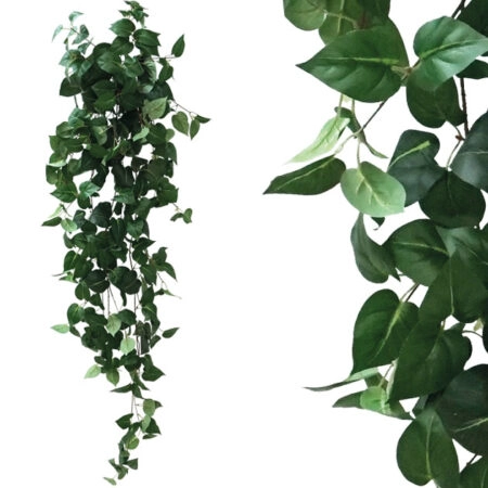 ΡΙΖΑ ΚΡΕΜΑΣΤΗ ΠΟΘΟΣ ΠΡΑΣΙΝΟΣ Y130cm