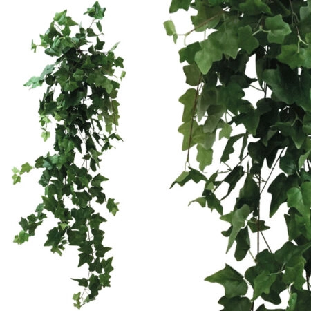 ΡΙΖΑ ΚΡΕΜΑΣΤΗ ΚΙΣΣΟΣ ΠΡΑΣΙΝΟΣ Y130cm