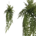 ΡΙΖΑ ΚΡΕΜΑΣΤΗ ΦΤΕΡΗ ΣΕ ΚΟΡΜΟ ΜΕ ΒΡΥΑ - Y142cm