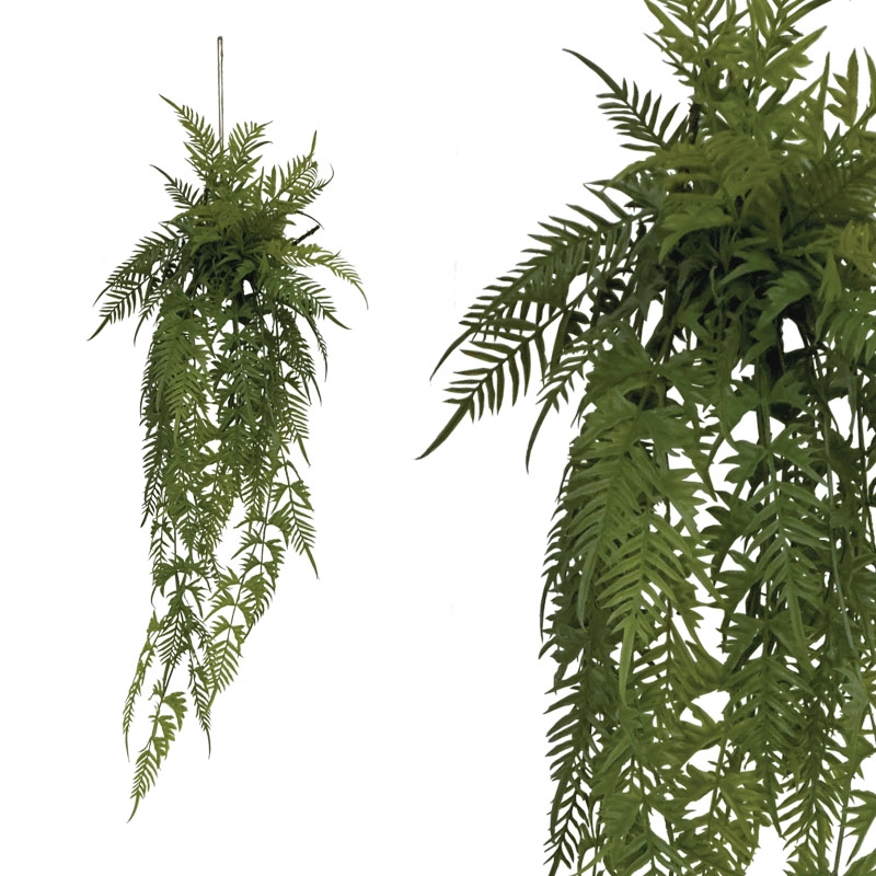 ΡΙΖΑ ΚΡΕΜΑΣΤΗ ΦΤΕΡΗ ΣΕ ΚΟΡΜΟ ΜΕ ΒΡΥΑ - Y142cm