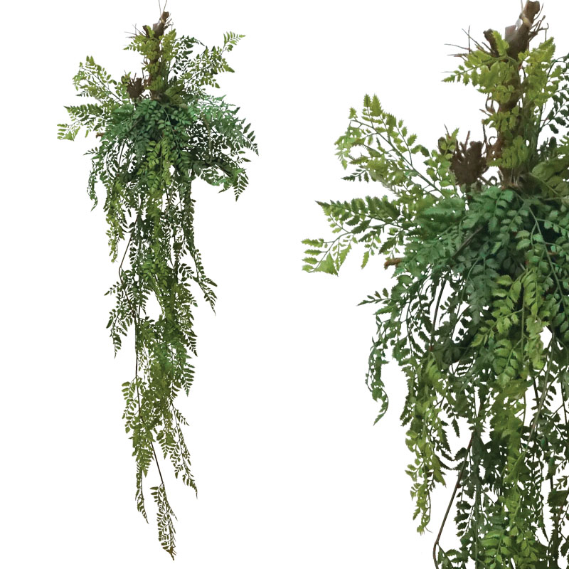 ΡΙΖΑ ΚΡΕΜΑΣΤΗ ΦΤΕΡΗ ΣΕ ΚΟΡΜΟ ΜΕ ΒΡΥΑ - Υ165cm
