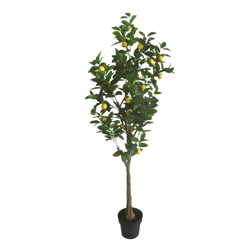 ΤΕΧΝΗΤΟ ΔΕΝΤΡΟ ΛΕΜΟΝΙΑ REAL TOUCH ΣΕ ΚΑΣΠΩ - ΥΨΟΣ 180cm