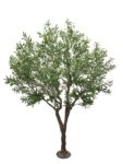 ΤΕΧΝΗΤΟ ΔΕΝΤΡΟ ΕΛΙΑ UV ΥΨΟΣ 240cm