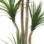 ΤΕΧΝΗΤΟ ΔΕΝΤΡΟ ΔΡΑΚΑΙΝΑ ΥΨΟΣ 155cm