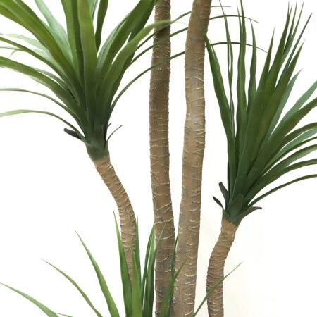 ΤΕΧΝΗΤΟ ΔΕΝΤΡΟ ΔΡΑΚΑΙΝΑ ΥΨΟΣ 155cm -  Sticky 1