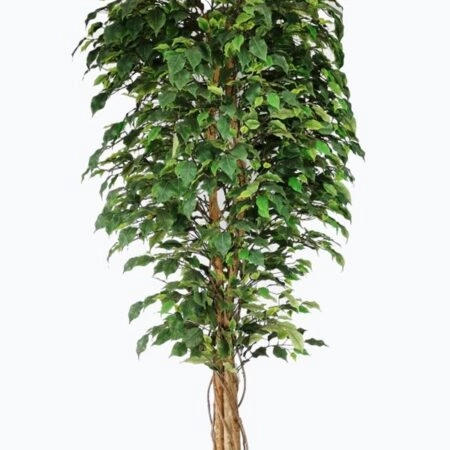 ΤΕΧΝΗΤΟ ΔΕΝΤΡΟ ΦΙΚΟΣ UV ΥΨΟΣ 210cm