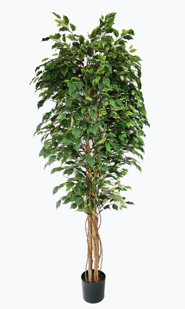 ΤΕΧΝΗΤΟ ΔΕΝΤΡΟ ΦΙΚΟΣ UV ΥΨΟΣ 210cm