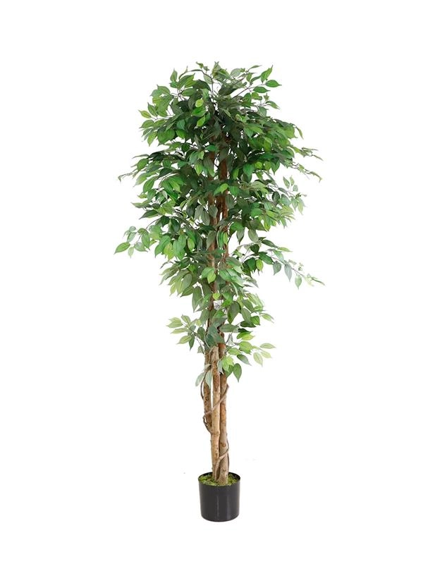 ΤΕΧΝΗΤΟ ΔΕΝΤΡΟ ΦΙΚΟΣ ΥΨΟΣ 210cm