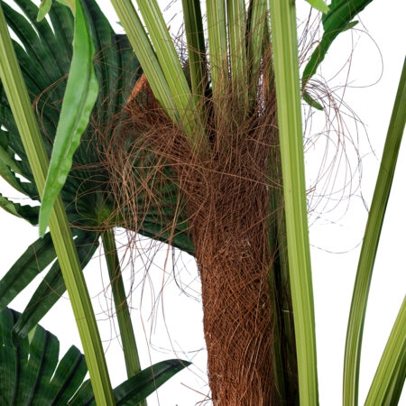 PALM TREE 20014 Τεχνητό Διακοσμητικό Φυτό Φοινικόδεντρο Βεντάλια Υ210cm - Τεχνητοι Φοινικες Sticky 2