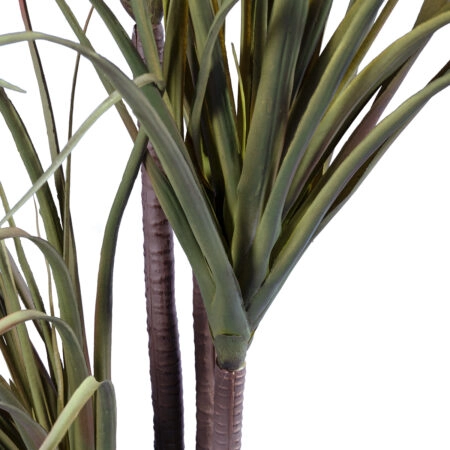 DRAGON BLOOD TREE 20016 - Τεχνητό Διακοσμητικό Φυτό Δράκαινα Υ180cm - Τεχνητες Δρακαινες και Γιουκα Sticky 1