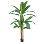 BANANA TREE 20018 - Τεχνητό Διακοσμητικό Φυτό Μπανανιά - Μπανανόδεντρο Υ240cm