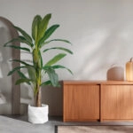 BANANA TREE 20018 - Τεχνητό Διακοσμητικό Φυτό Μπανανιά - Μπανανόδεντρο Υ240cm