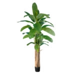 BANANA TREE 20019 - Τεχνητό Διακοσμητικό Φυτό Μπανανιά - Μπανανόδεντρο Υ280cm