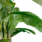BANANA TREE 20019 - Τεχνητό Διακοσμητικό Φυτό Μπανανιά - Μπανανόδεντρο Υ280cm