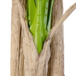 BANANA TREE 20019 - Τεχνητό Διακοσμητικό Φυτό Μπανανιά - Μπανανόδεντρο Υ280cm