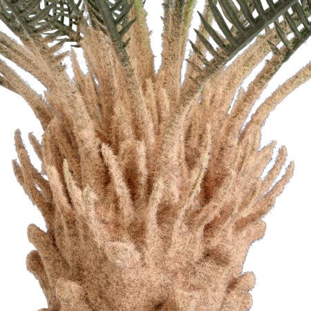 CYCADS 20022 Τεχνητό Διακοσμητικό Φυτό Αρωματική Κύκας Υ120cm - Τεχνητοι Φοινικες Sticky 2