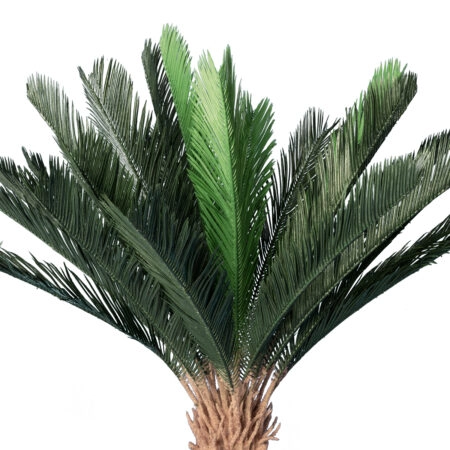 CYCADS 20023 Τεχνητό Διακοσμητικό Φυτό Αρωματική Κύκας Υ140cm - Τεχνητοι Φοινικες Sticky 1
