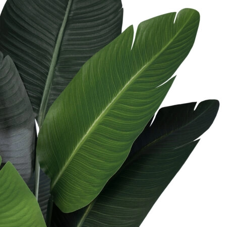 STRELITZIA 20025 Τεχνητό Διακοσμητικό Φυτό  Στρελίτσια - Πουλί του Παραδείσου Υ120cm - Τεχνητες Στρελιτσιες (Πουλι παραδεισου) Sticky 1