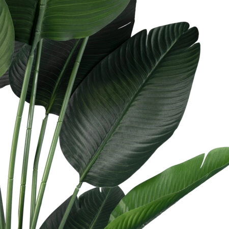 STRELITZIA 20027 Τεχνητό Διακοσμητικό Φυτό  Στρελίτσια - Πουλί του Παραδείσου Υ200cm - Τεχνητες Στρελιτσιες (Πουλι παραδεισου) Sticky 1
