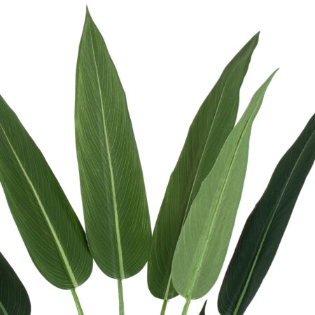 STRELITZIA 20029 Τεχνητό Διακοσμητικό Φυτό  Στρελίτσια - Πουλί του Παραδείσου Υ140cm - Τεχνητες Στρελιτσιες (Πουλι παραδεισου) Sticky 1