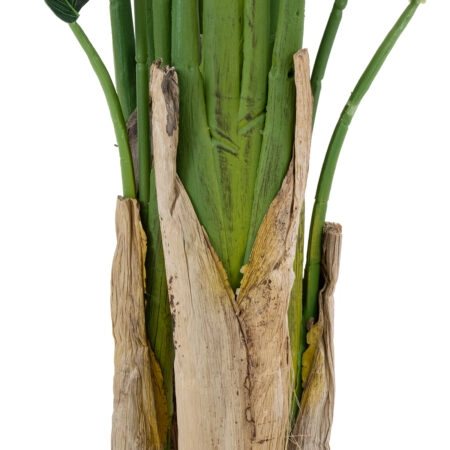 STRELITZIA 20029 Τεχνητό Διακοσμητικό Φυτό  Στρελίτσια - Πουλί του Παραδείσου Υ140cm - Τεχνητες Στρελιτσιες (Πουλι παραδεισου) Sticky 2