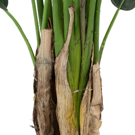 STRELITZIA REGINAE 20032 Τεχνητό Διακοσμητικό Φυτό Στρελίτσια - Πουλί του Παραδείσου Υ140cm - Τεχνητες Στρελιτσιες (Πουλι παραδεισου) Sticky 3