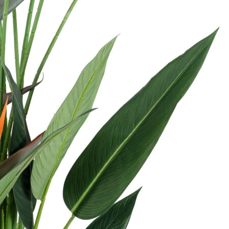 STRELITZIA REGINAE 20033 Τεχνητό Διακοσμητικό Φυτό Στρελίτσια - Πουλί του Παραδείσου Υ180cm - Τεχνητες Στρελιτσιες (Πουλι παραδεισου) Sticky 1